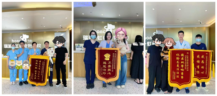 图片19_副本.png